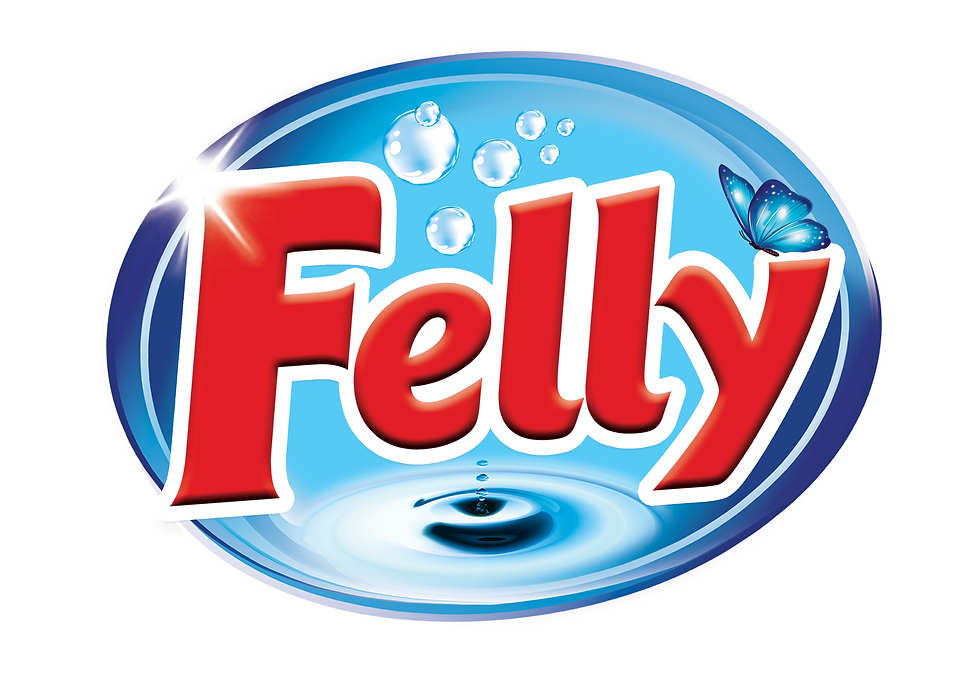 Felly logo client-image